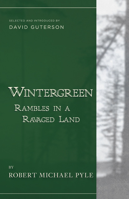 

Wintergreen