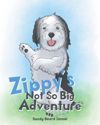 Sandy Beard Immel — Zippy's Not So Big Adventure