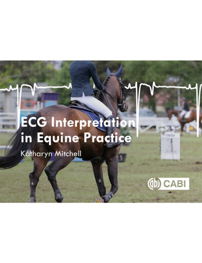 Katharyn Mitchell - ECG Interpretation in Equine Practice