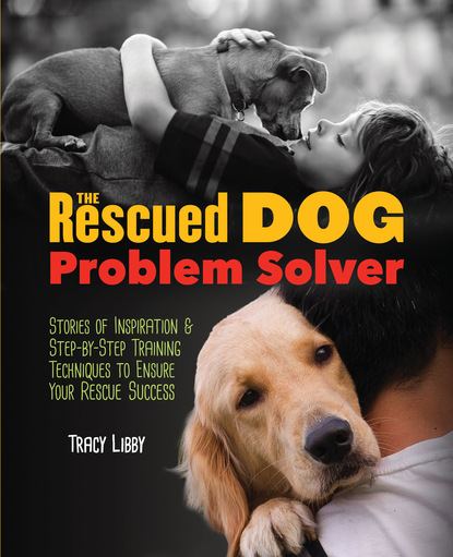 

The Rescued Dog Problem Solver