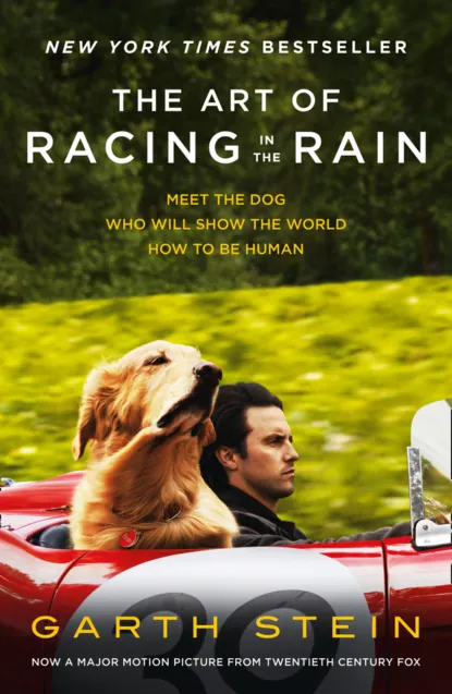 Обложка книги The Art of Racing in the Rain, Garth  Stein