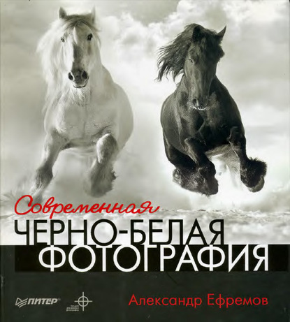 Александр Ефремов - Современная черно-белая фотография