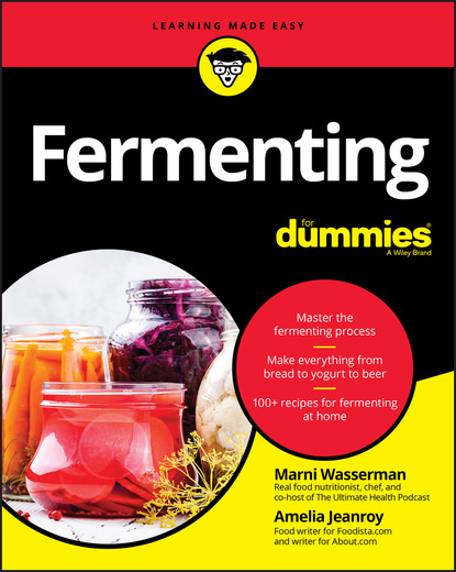 Marni  Wasserman - Fermenting For Dummies