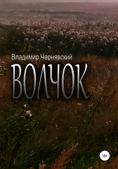 

Волчок