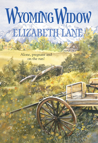Elizabeth Lane - Wyoming Widow