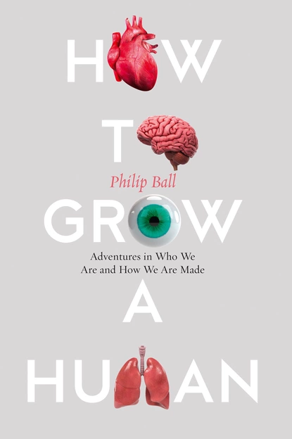 Обложка книги How to Grow a Human, Филип Болл