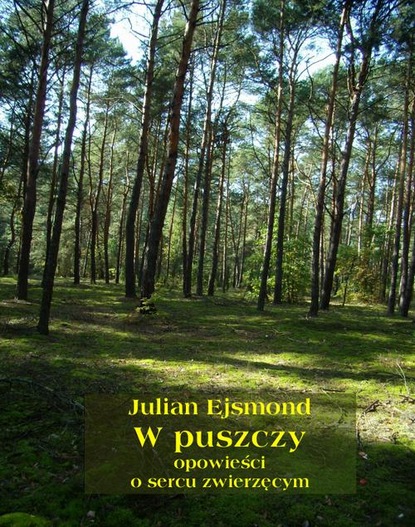 Julian Ejsmond — W puszczy. Opowieści o sercu zwierzęcym