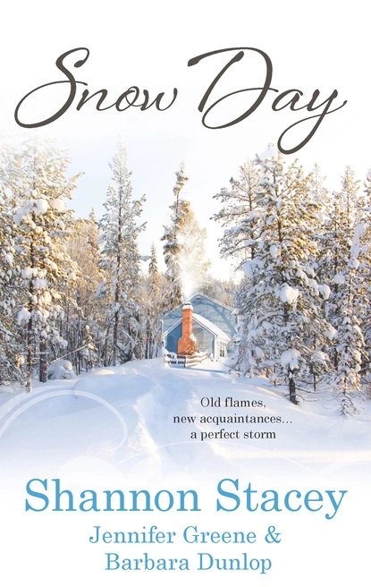 Обложка книги Snow Day, Barbara Dunlop