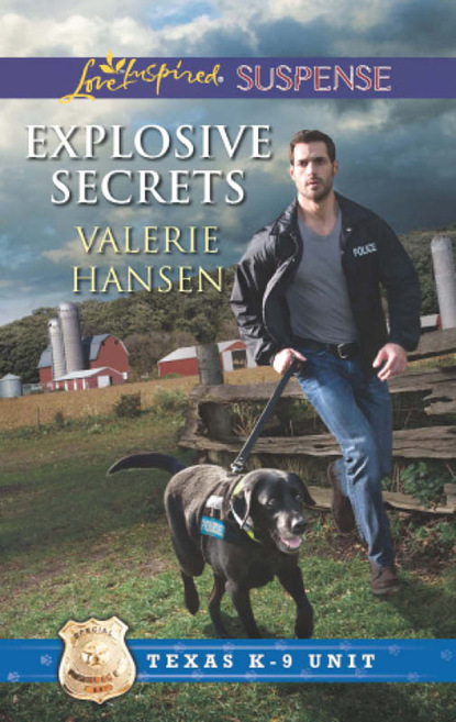 Valerie Hansen — Explosive Secrets