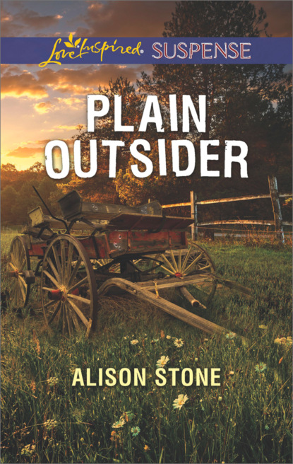 Alison  Stone - Plain Outsider