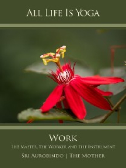 Sri Aurobindo - All Life Is Yoga: Work