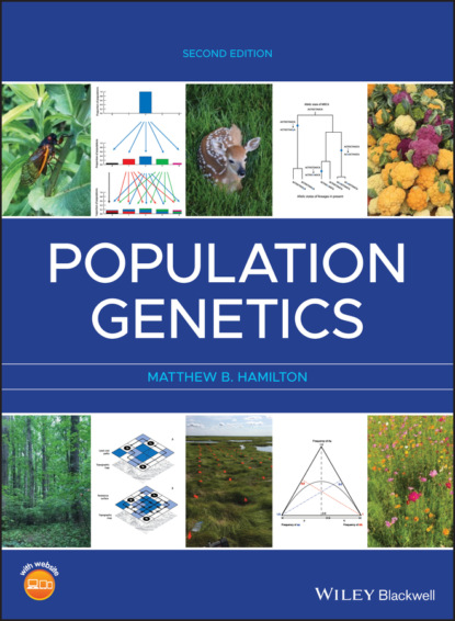 Matthew B. Hamilton - Population Genetics