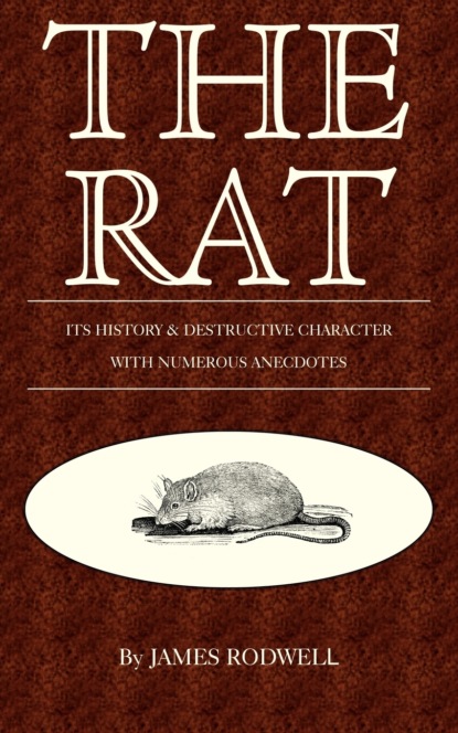 James Rodwell - The Rat; Its History & Destructive Character