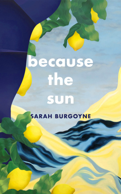 Sarah Burgoyne - Because the Sun