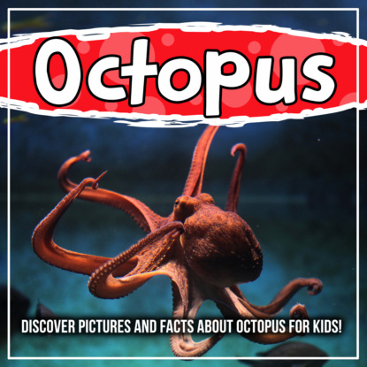 

Octopus: Discover Pictures and Facts About Octopus For Kids!