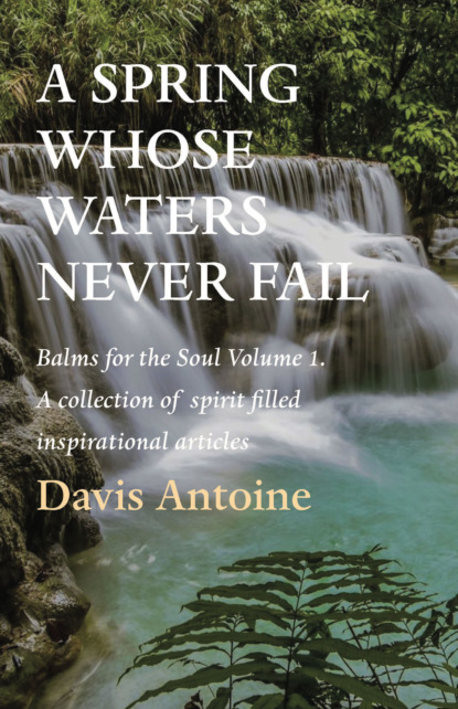 Davis Antoine - A Spring whose waters never fail