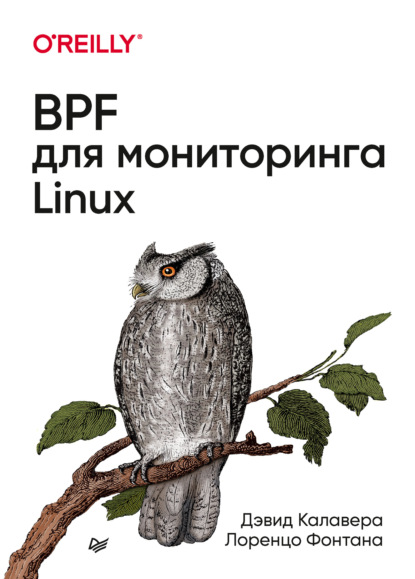 Лоренцо Фонтана - BPF для мониторинга Linux