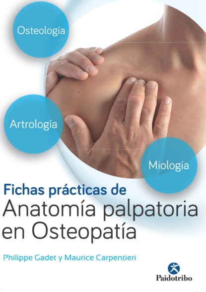 Philippe Gadet - Fichas prácticas de anatomía palpatoria en osteopatía (Color)
