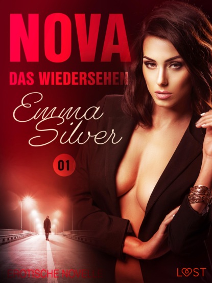 Nova 1 - Das Wiedersehen: Erotische Novelle (Emma Silver). 