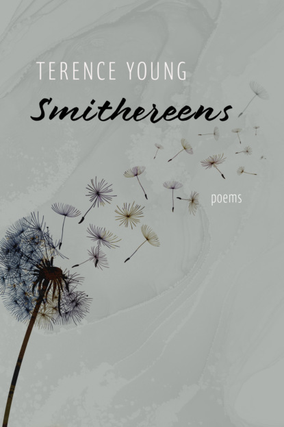 Terence Young - Smithereens