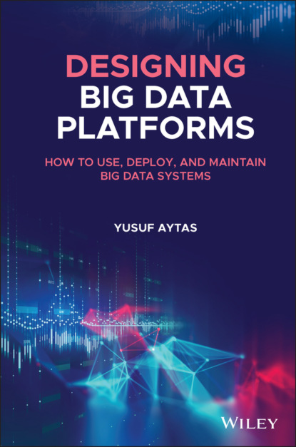 Yusuf Aytas - Designing Big Data Platforms