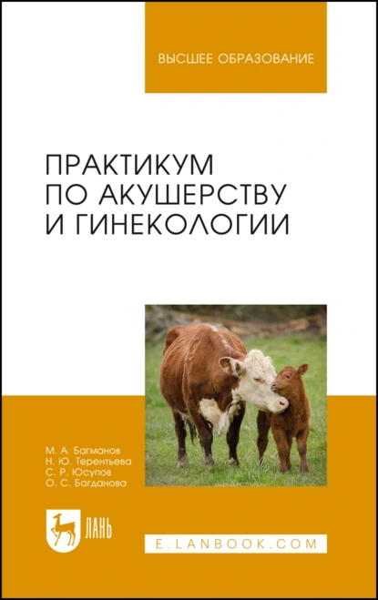 Обложка книги Практикум по акушерству и гинекологии. Учебное пособие для вузов, М. А. Багманов