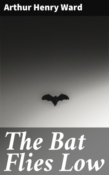 

The Bat Flies Low