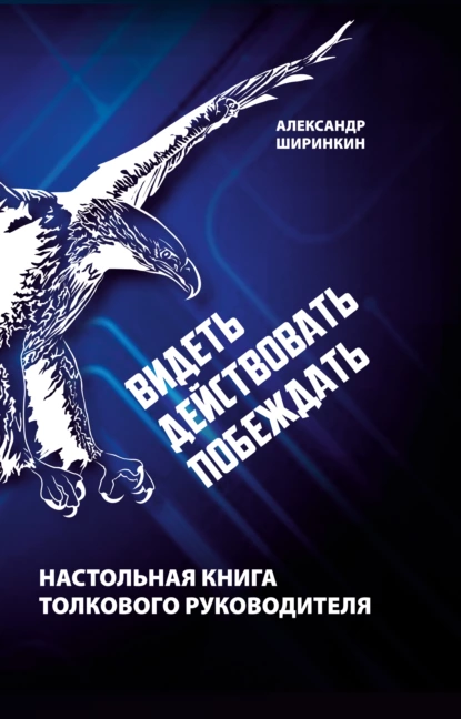 Обложка книги Видеть. Действовать. Побеждать. Настольная книга толкового руководителя, Александр Ширинкин