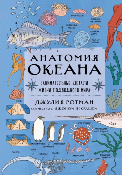Анатомия океана. Занимательные детали жизни подводного мира - Джулия Ротман