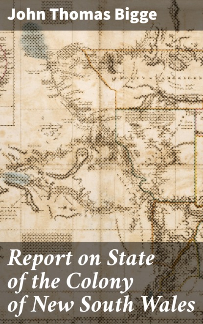 

Report on State of the Colony of New South Wales