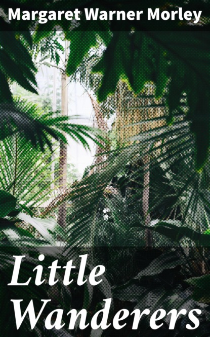 

Little Wanderers