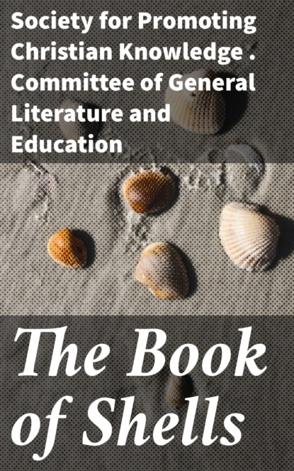 

The Book of Shells