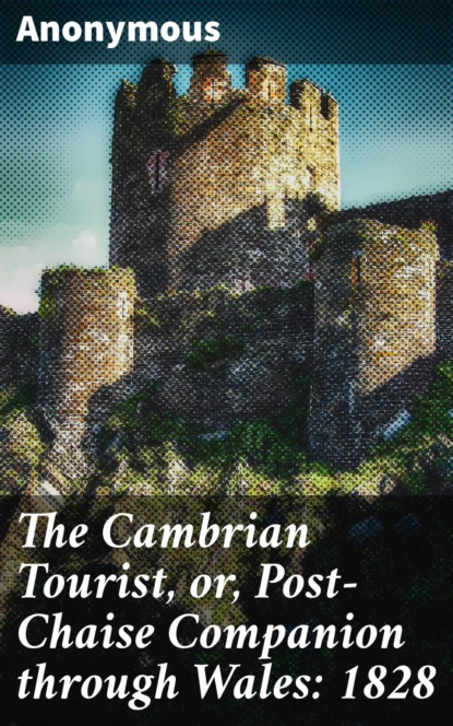 

The Cambrian Tourist, or, Post-Chaise Companion through Wales: 1828