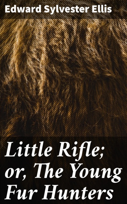

Little Rifle; or, The Young Fur Hunters