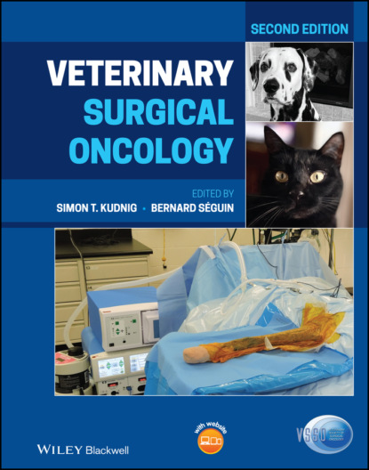 Veterinary Surgical Oncology