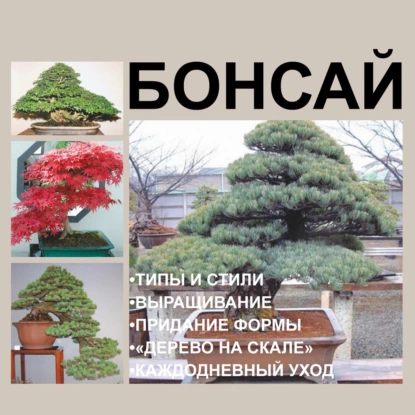 Обложка книги Бонсай, И. Е. Гусев