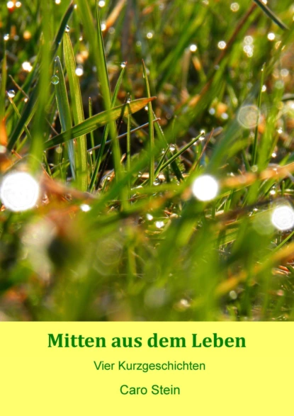 Обложка книги Mitten aus dem Leben, Caro Stein