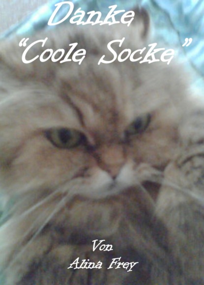 Danke Coole Socke