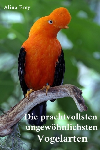 Die prachvollsten ungewöhnlichsten Vogelarten (Alina Frey). 