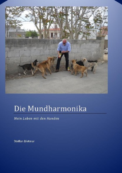 Die Mundharmonika (Dietmar Steffan). 