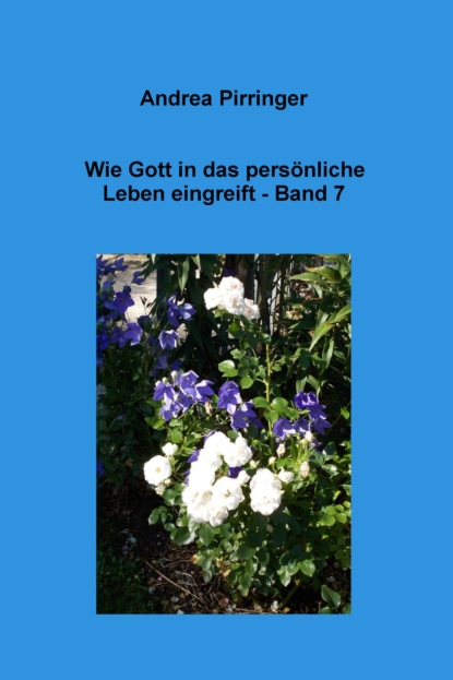 Wie Gott in das persönliche Leben eingreift - Band 7 (Andrea Pirringer). 