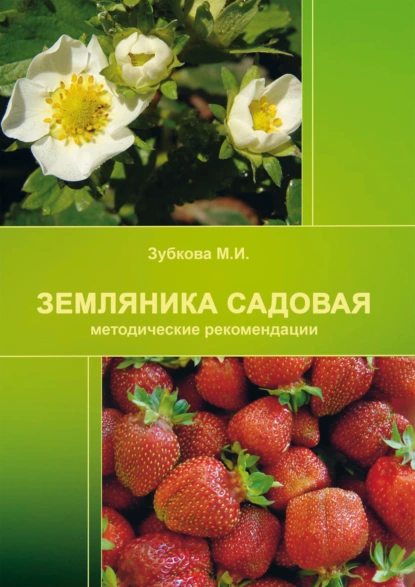 Обложка книги Земляника садовая (методические рекомендации), М. И. Зубкова