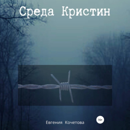 Аудиокнига Евгения Олеговна Кочетова - Среда Кристин