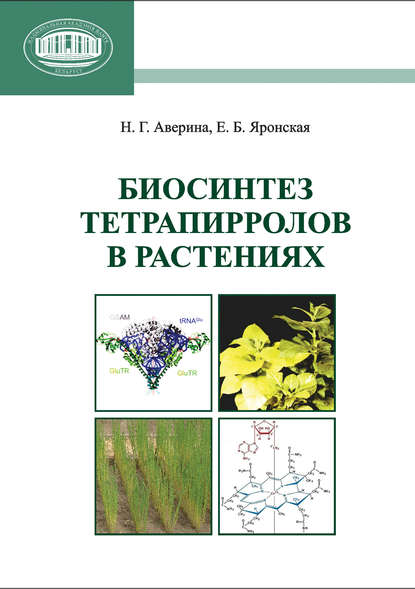 Н. Г. Аверина — Биосинтез тетрапирролов в растениях