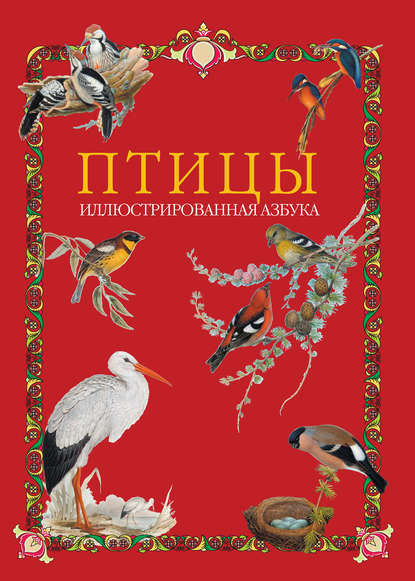 Птицы. Иллюстрированная азбука (Группа авторов). 2012г. 