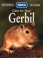 Care for your Gerbil