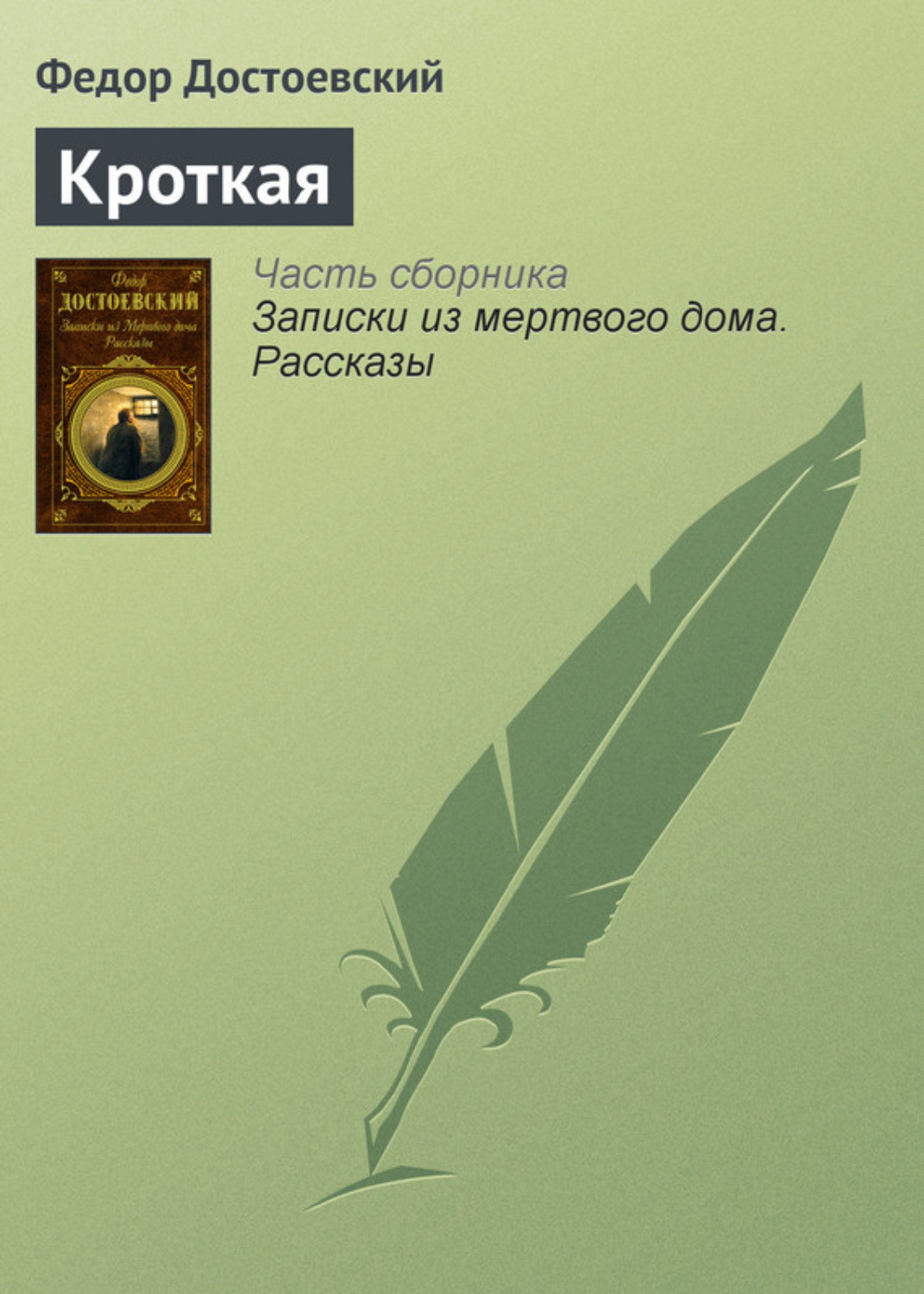 Федор Достоевский книга Кроткая – скачать fb2, epub, pdf бесплатно –  Альдебаран