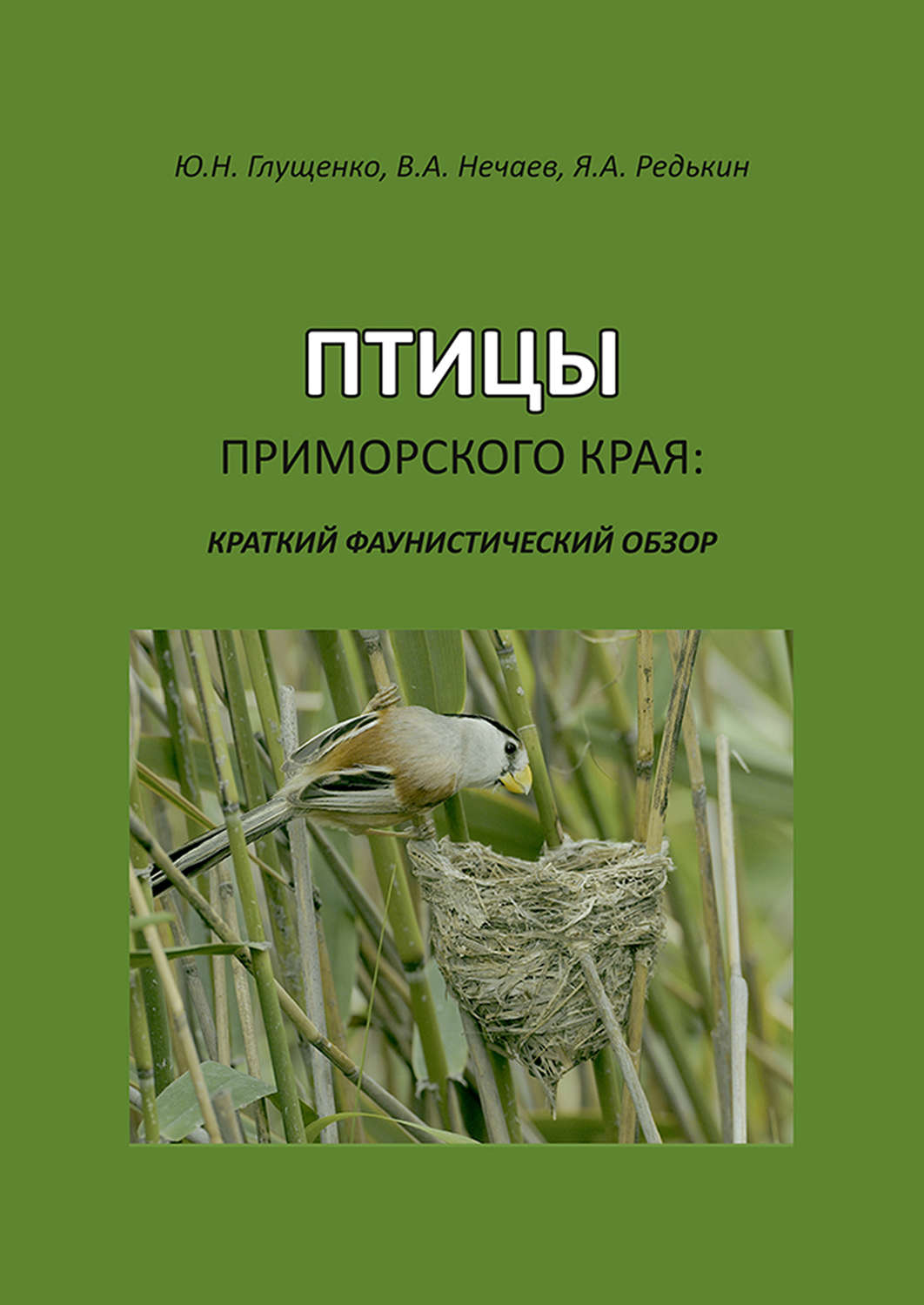 Краснокнижные птицы приморского края