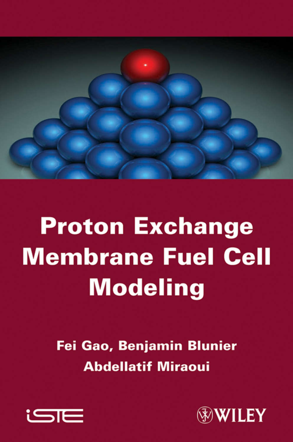 proton-exchange-membrane-fuel-cells-modeling-benjamin-blunier