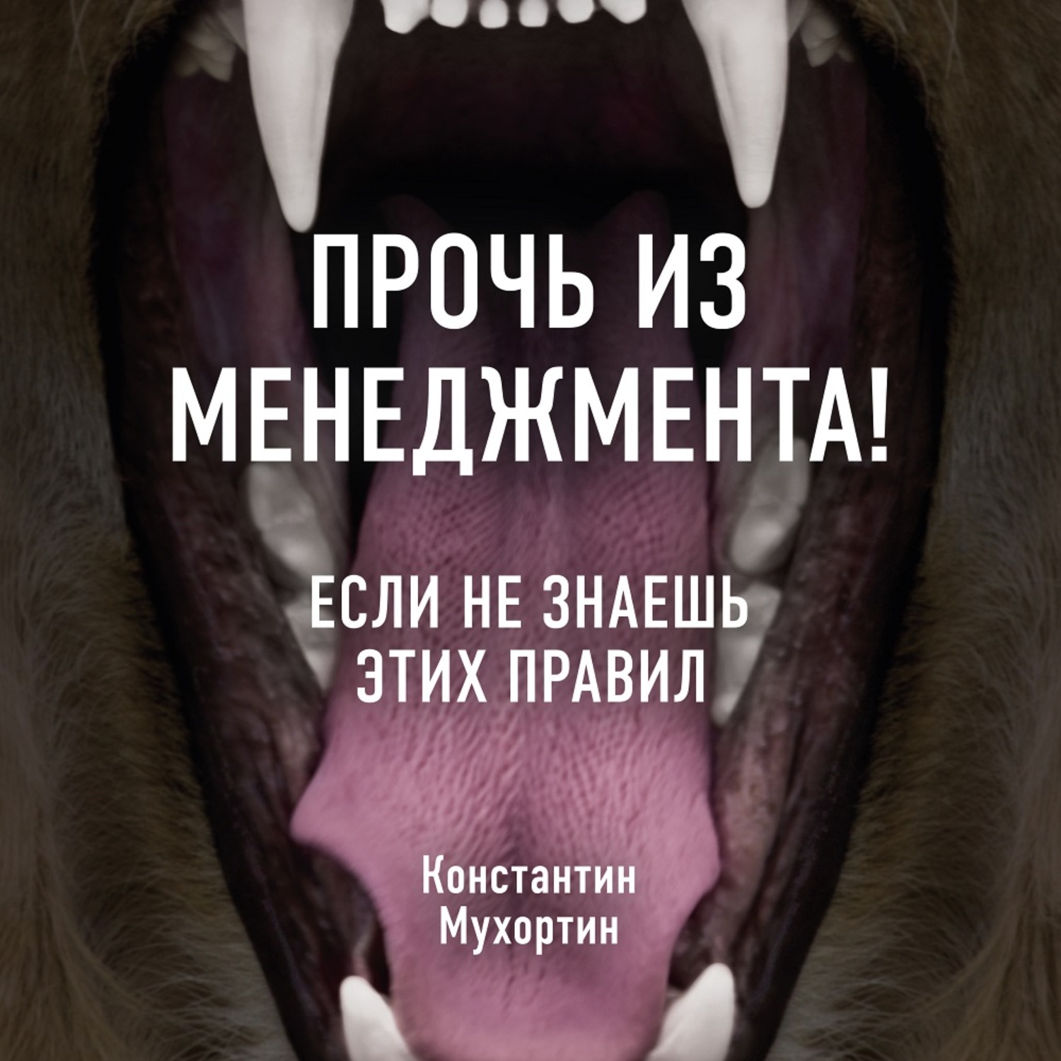 Прочь из этого дома. Прочь из менеджмента. Прочь из менеджмента если не знаешь этих правил. Мухортин прочь из менеджмента.